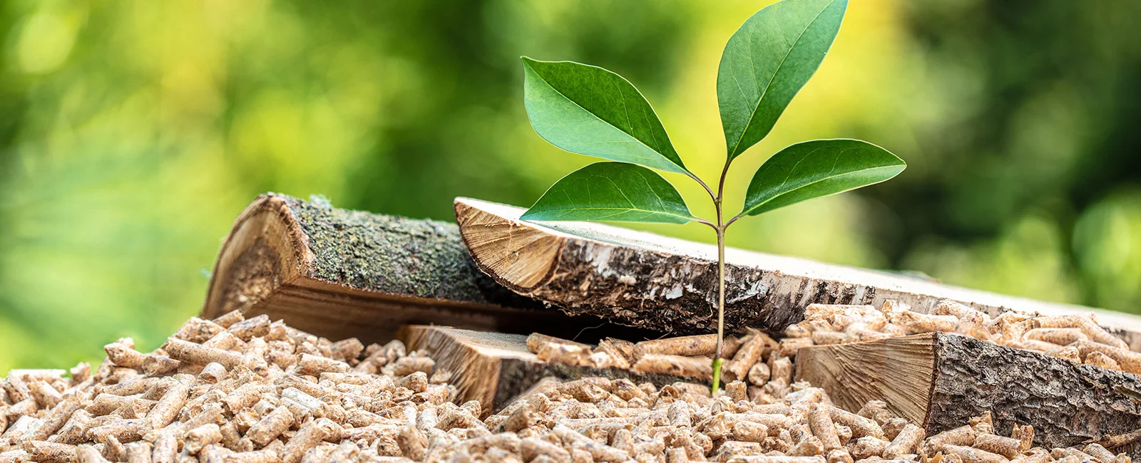 Pellets 100 % naturel, local et de haute qualité